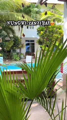 A beautiful cottage for your stay😍😍😍  #zanzibar #travel #tiktokzanzibar🇹🇿🇹🇿 #nungwibeachzanzibar #vacation 