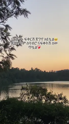 ❤️‍🩹#habeshagirl #tgraytiktok🇻🇳 #habeshatiktok #fypシ゚vira #የናተገፅ #viralvideos #fypシ゚viral🖤tiktok #fypシ゚ 