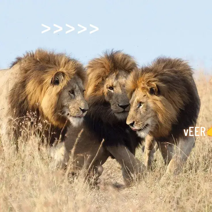 #fypviral #🥰🥀✨ 