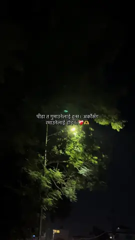 पीडा त गुमाउनेलाई हुन्छ। अर्कोसँग रमाउनेलाई होइन।🥺#fyp #foryou #foryoupage #trending #itsyou 