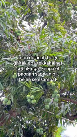 #katakatamadura #katakatamaduraviral #madurapride #madurafyp  #fyp 