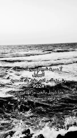 #بني_شبيل #fyp #جازان #الجنوب #الشبيلي 