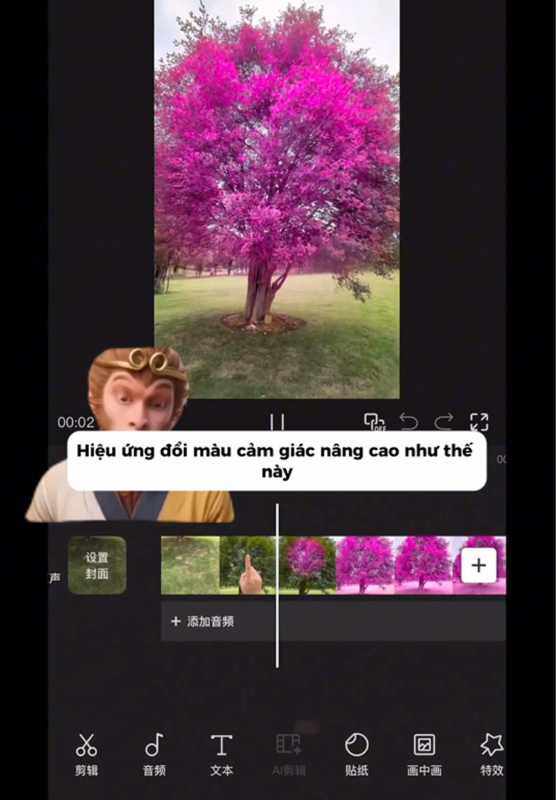 Cách làm hiệu ứng đổi màu cực đẹp #CapCut #edit #xuhuong #editor #huongdanedit 