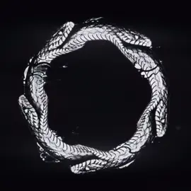 She ouro on my boros till I she ouro on my boros till I she ouro on my boros till I #edit #ouroboros #lotr #gaming #esoteric 