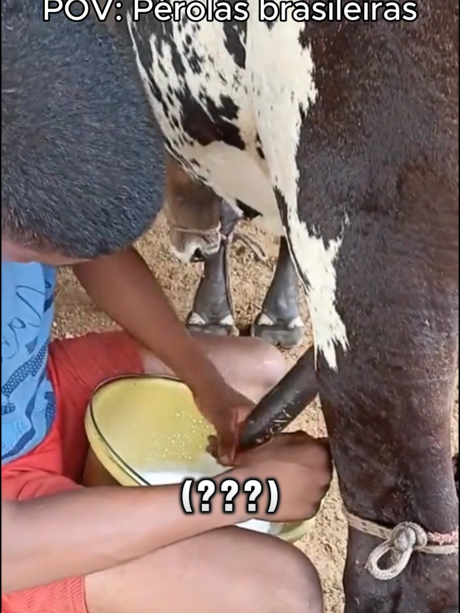 me ajuda a bater 10k de seguidores? Deus abençoe!!! . . . . #POV #perolas #perolasbrasileiras #memes #memesbr #djavu