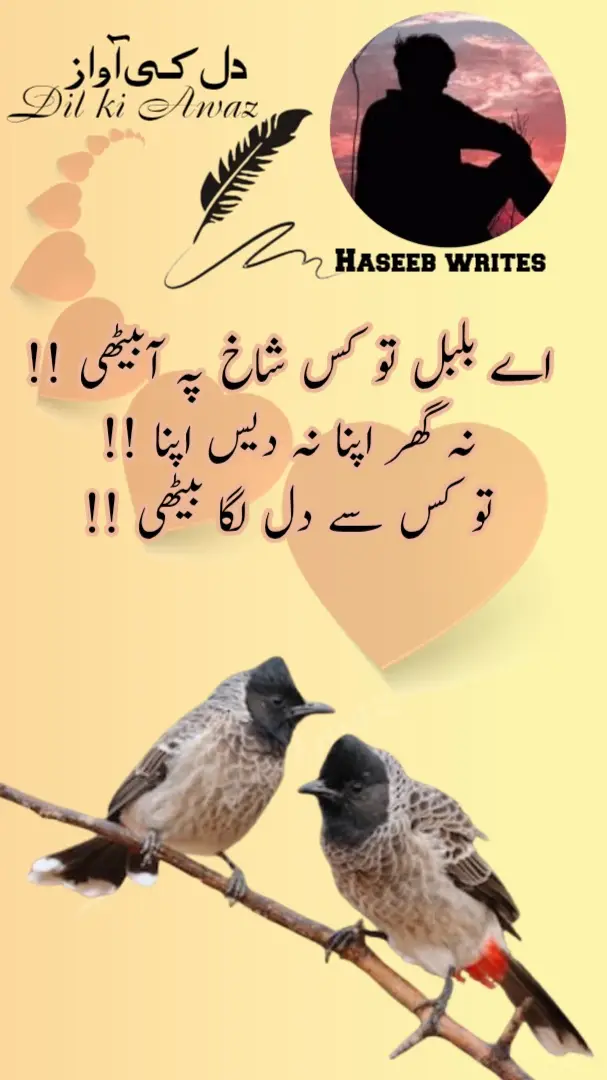 اے بلبل تو کس شاخ پہ آبیٹھی !! نہ گھر اپنا نہ دیس اپنا !! تو کس سے دل لگا بیٹھی !! deep line about life  ‎#sad #foryou #foryoupage #trendingvideoviral #fpy 