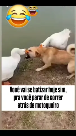 #viralvideo #fyyyyyyyyyyyyyyyy #viralvideo #vaiprofycaramba #tiktok_india❤️💙 