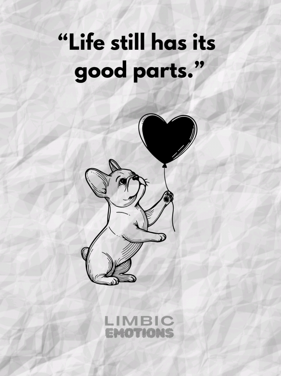 Sometimes, healing begins with remembering one happy moment. 🌻 This short emotional video reminds you that no matter how hard life gets, there were days that made you smile and there will be more again. 🎧 Watch this when you forget what happiness feels like. 💬 Comment “I still have good memories.” 📌 Subscribe for daily reminders that life still has its bright side. #Motivation #HealingQuotes #MentalHealthAwareness #LifeQuotes #Hope