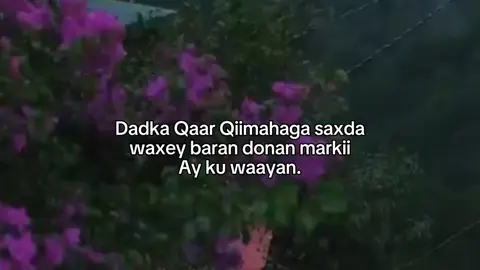 Qiimaha naftada ilaali ... ... ... #fyp #somaalitiktok #somaalitiktok #somaalitiktok #somaalitiktok 