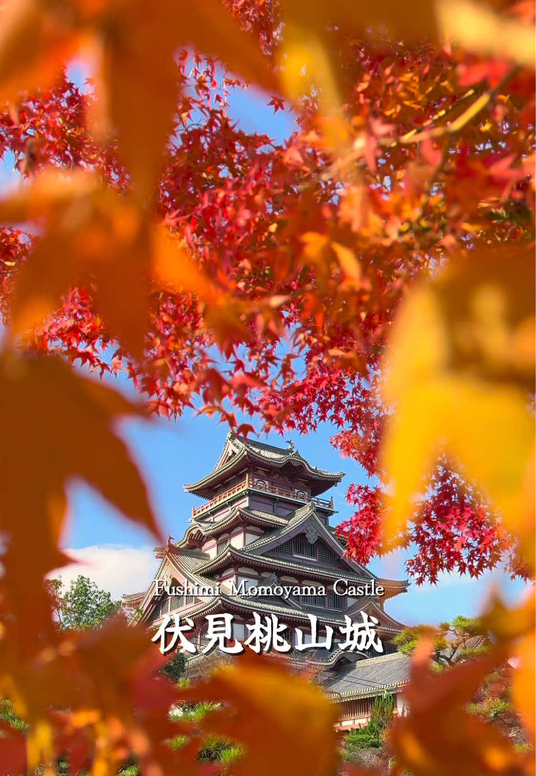 今年行ってほしい！京都の超穴場紅葉スポット🍁 📍Fushimi Momoyama Castle | Kyoto🇯🇵 🗾伏見桃山城 桜の名所として有名ですが、秋は隠れた紅葉の名所🍁 🔴見どころ 敷地が広く、人が密集しにくいため比較的ゆったり観賞できます。 🍁見頃時期：例年 11月末〜12月上旬あたりがピーク。 🚉アクセス ・京阪「中書島」駅から徒歩約20～25分 ・近鉄「桃山御陵前」駅から徒歩約20分 ・バス路線は少ないため、徒歩かタクシーが実用的。 #伏見桃山城 #秋のお出かけキャンペーン #楽天トラベルキャンペーン #京都 #kyoto 