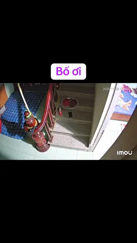 Thấy gái rượu gọi ,ông bô cuống cuồng cả lên 😂❤️❤️ bao nhiêu tiền cũng không mua được hạnh phúc ấy ❤️❤️ khoảng khắc này là vô giá với con bố ạ ❤️❤️#bovacongai #boyeu #xuhuongtiktok #baohieu #buoitoivuive 