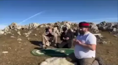 Аллах Дала сисаз волкх и дог ойл мел верг 