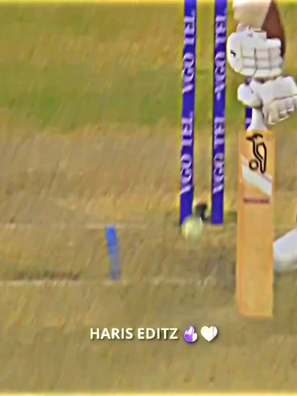 South Africa All 143 Runs 😮☠️ Target 144 Pakistan Win Inshallah 3rd ODI Full Highlights 3rd ODI Pakistan Vs South Africa All Fall Of Wickets 😮#cricket #cricketlover #cricket_editors19 #babarazam #foryou 