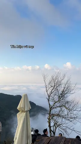 Nghỉ làm đi du lịch ngay cho tao🤗🤗 #taxua #taxua2025 #sanmaytaxua 