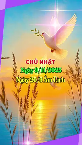 Chào Ngày Mới #ngaymoivuive 