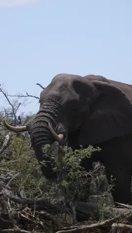 #creatorsearchinsights 