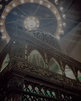 انا العبد إبراهيم شيخ الطريقة🧡🍀 #الطريقة_البرهانيةالدسوقية_الشاذلية #مولد_سيدى_ابراهيم_الدسوقى #مديح #أهل #fyppppppppppppppppppppppp 