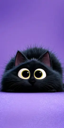 #cat #catwallpaper #livewallpaper #livewallpaper4k 