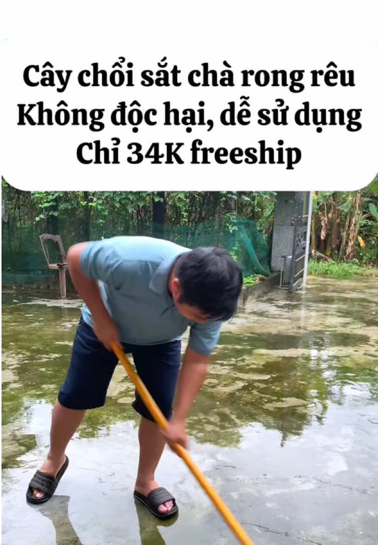 Chổi sắt chà rong rêu, không cần sử dụng bột tẩy rêu vừa hôi vừa độc hại #choichareu #choisatchareu #caychasan #caycharongreu #review 