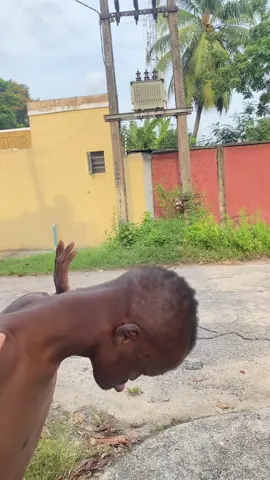 Tamichokoshitar  #frog #fyp #viral 