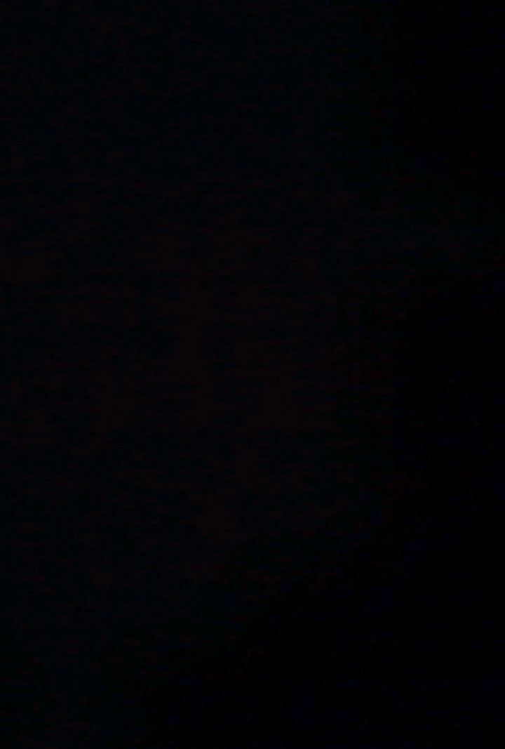 pede pra sair pede pra sair  #fy #capitaonascimento #filmetropadeelite 