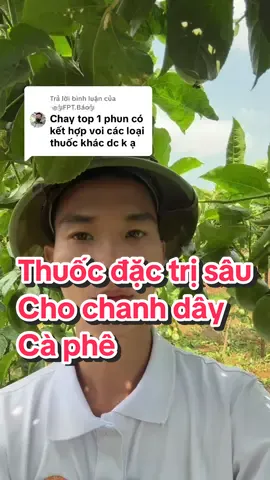 Trả lời @༄༂FPT.Báo༂  1 Thùng trừ sâu TOP 1 Kinh Bắc