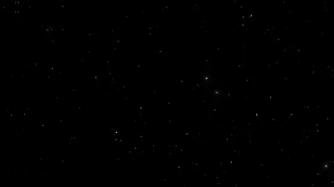 فـــ الـشــدهـ الــنـفــوس بـتــبـاان✨🖤..                                                                                                                                                          #احمد_الباشا #elkiady_official #viral #fyp #اكسبلور 