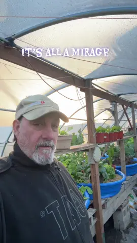 Keeping the plants alive through the cold months#gardening101 #fallgardening #containergardening #vegetablegardening #gardening 