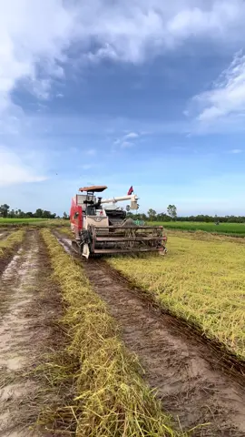 #សំបេះបូងម្នាក់មួយផង❤️ #ម៉ាសុីនច្រូត❤️ 🌾🌾