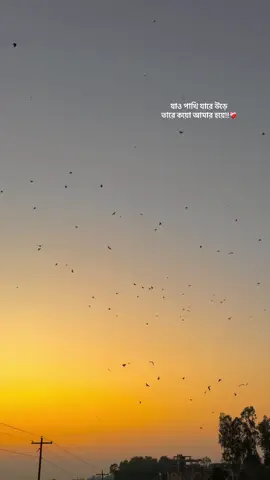 যাও পাখি যারে উড়ে তারে কয়ো আমার হয়ে!! ❤️‍🩹#tiktokofficialbangladesh #shishir007 #foryou #foryoupageofficiall #Atrai 