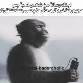 اخ بسسسس 🚬✨ #نصرت_البدر #ارتدي_السماعات🎧  #اغاني_مسرعه💥 #شخصك_المفضل #حبيبي 