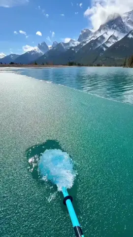 #реддитистории #реддит #апвоут #интересное 