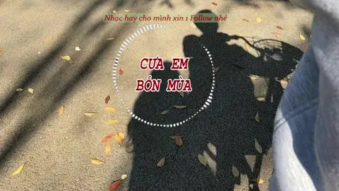 Không yêu em được mùa hạ, anh sẽ yêu em sang mùa đông #nhachaymoingay #tramballad #karaoke #xuhuong #trending #cuaembonmua