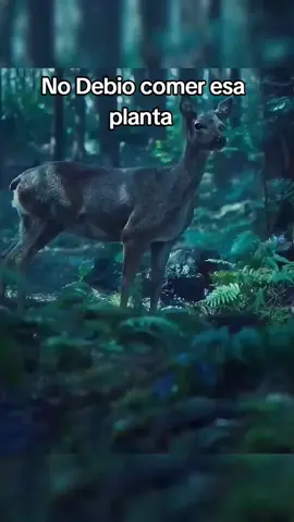 Película recomendada  #paratii  #recomendado  #peliculasrecomendadas  #peliculas 