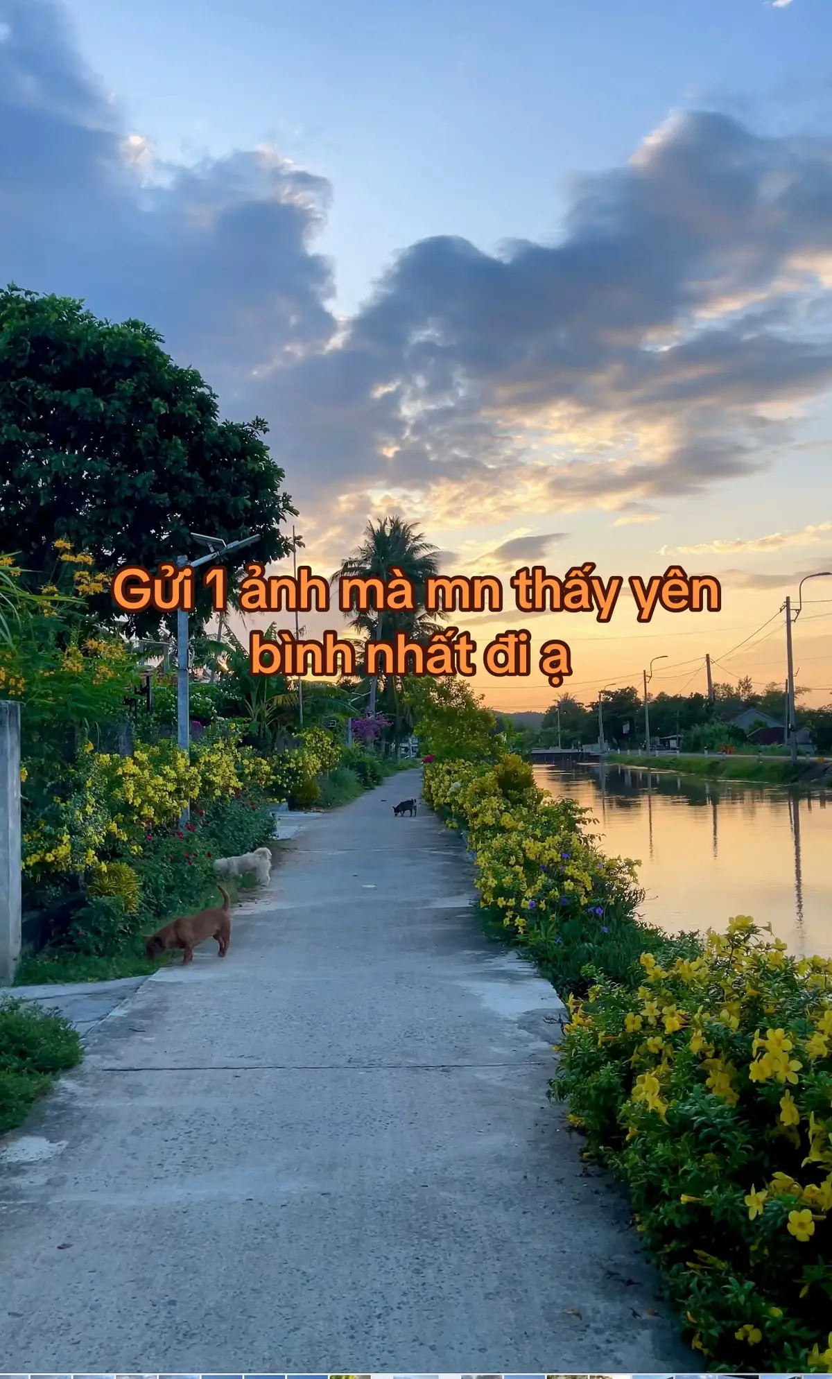 Yên bình ☺️ #flypシ #quehuong #chill #yenbinhnoimienque 