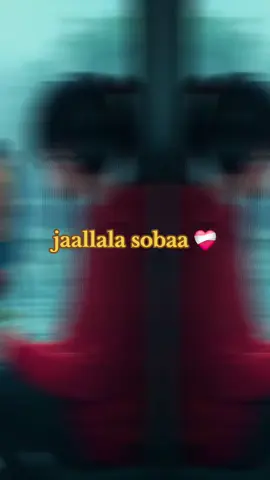 #ethiopian_tik_tok🇪🇹🇪🇹🇪🇹🇪🇹ሀገሬ #oromotiktok❤️💚❤️ethiopiantiktok #foryou #foryourpage #viral 