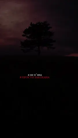 ПІСНЯ В ОПИСІ ПРОФІЛІ  #слухайукраїнське 