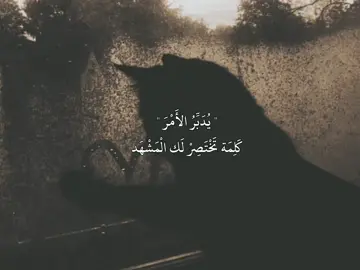 #عبارات  #قصائد_حسينية  #لايك #متابعة  #تصميم_فيديوهات🎶🎤🎬 