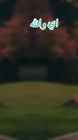 #اي والله الدنياء هي منزل بالايجار #كلمات من ذهب #اقتباسات_عبارات_خواطر🖤🦋❤️ #اك #اكسبلور 