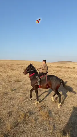 Алып қашу сәнғой 505 ке😆