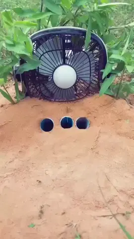 #four #fouryoupage #2million #like#reposted 