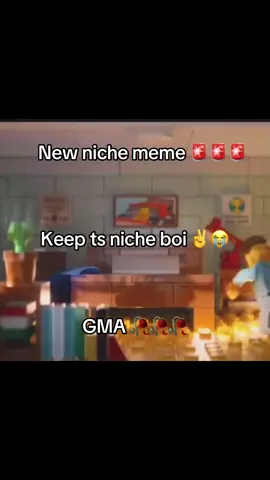New niche meme 🚨🚨🚨#goodmorningapartment #niche #funny #fyp #fypシ゚viral 