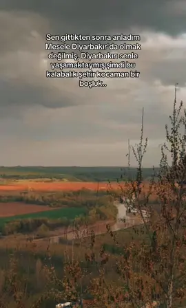 #diyarbakır#🕊️#CapCut