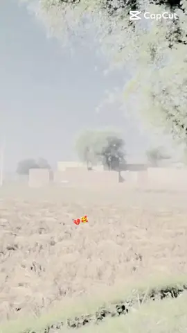 #fycarambaaaaaaaaaaaaaaaa #viralvideos #standwithkashmir #viral #viral 