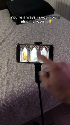 Some of us live inside ideas 🤷‍♀️#fantasy #bookworm #dreamroom #projector #roomwithaview 