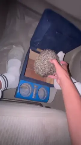 كم شوكه دخلت برجلي الامور طيبه ههههههههههههههههههههههههههههههههههههههههههههههههههههههههههههههههههههههههھ💔😂😂' #اكسبلور #ترويج #الباحه #مالي_خلق_احط_هاشتاقات🧢 #😂😂😂😂😂😂 