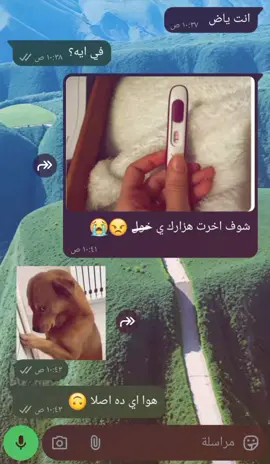 هوا ايه ده اصلا 🙃 #creatorsearchinsights  #وتساب 