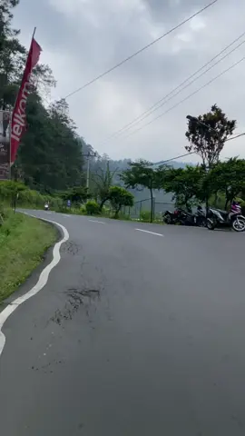 🌬️🍃🌿 #fyp #gucitegal #guci #vibes #xybca 