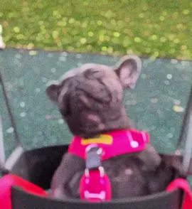 #CapCut #fyp #id #rip 