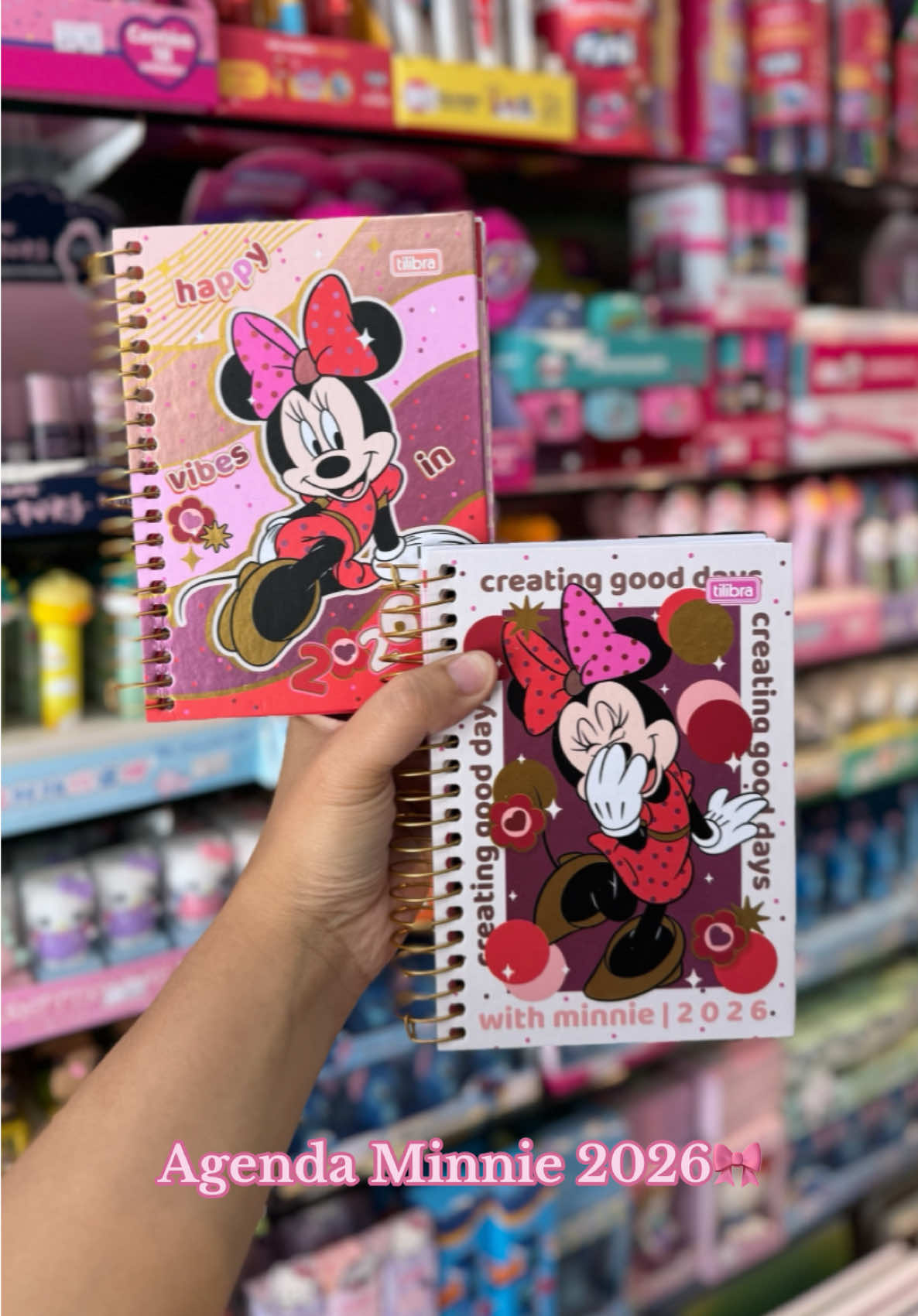 Chegaram as agendas 2026 da Minnie! 💖 Organização com estilo e um toque de magia Disney! 🐭✨ #Novidades #agenda2026 